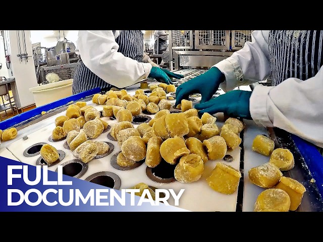 Food Factory Giants: Inside Massive Meat Pie & Cheese Production | FD Engineering