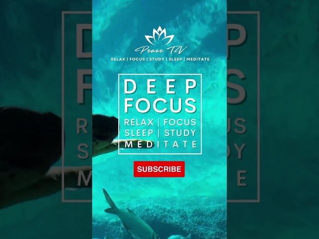 Deep Focus Flute meditation #flutemusic