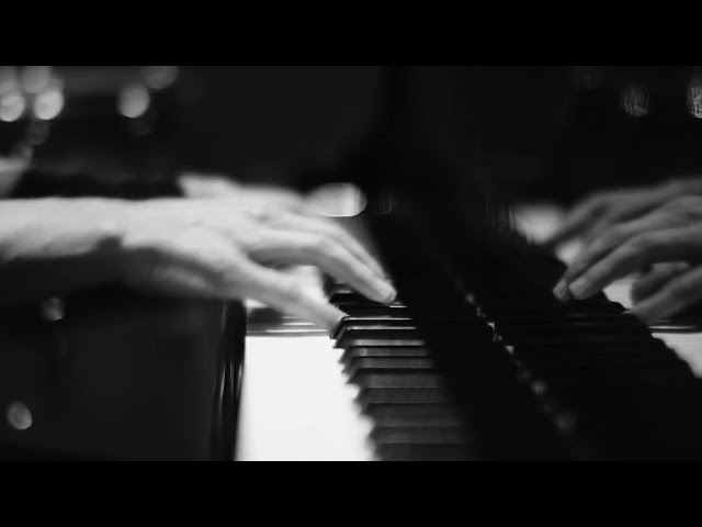 The Killers - "C'est La Vie" (Visualizer Video)