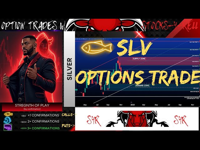 SLV Options Breakdown: Calls, Puts, and Price Action Strategies for All Traders! 🐟🐬🐋