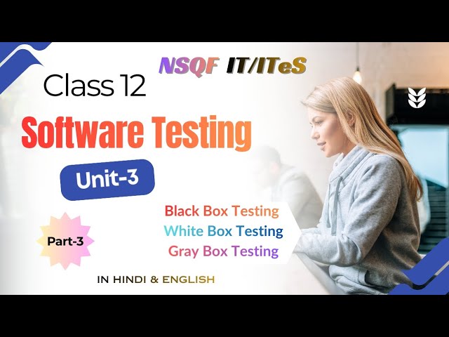 Software Testing – Black Box, White Box & Gray Box | Class 12 IT/ITeS Unit-3