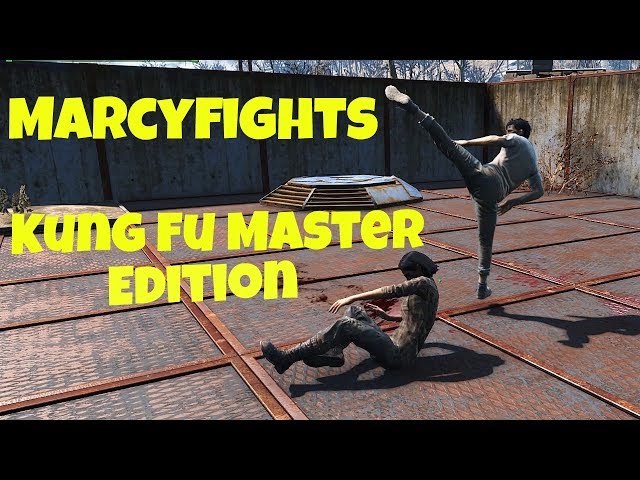 Marcyfights: Kung Fu Master Edition