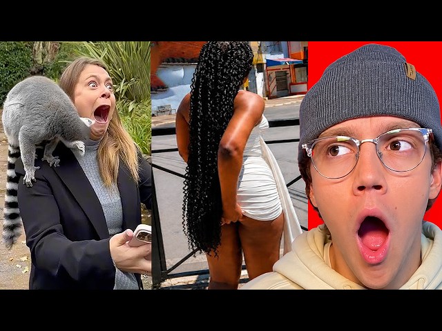 🤣 Cam2r’s Funniest TikTok Reactions | 4 Hours of Viral Comedy Compilation