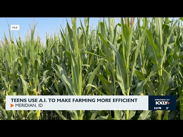 Teens use AI to make farming more efficient