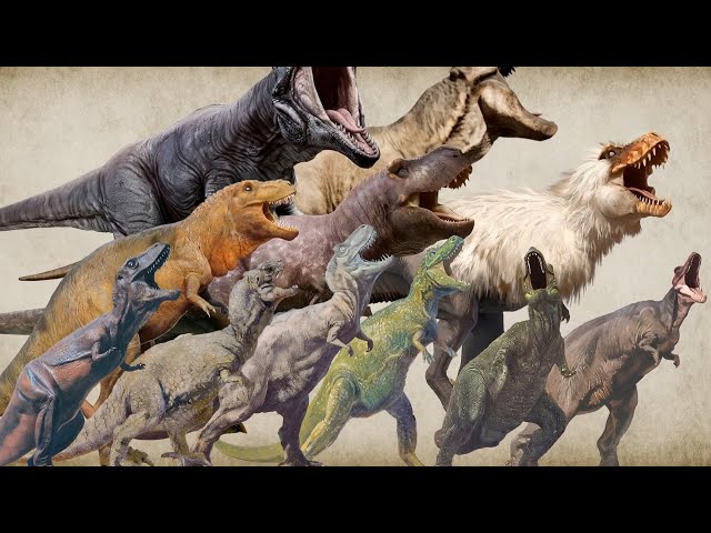 Evolution of T-Rex’s Appearance and Form