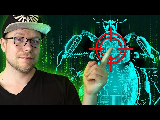 What Are Bug Bounty Hunters?