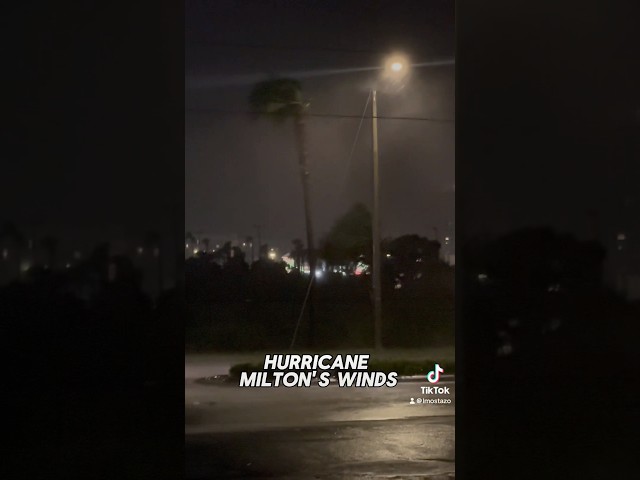 🚨 This is how the hurricane-force winds from #Milton were felt in Orlando 🌀#HurricaneMilton