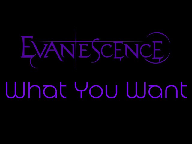 Evanescence - What You Want Lyrics (Evanescence)