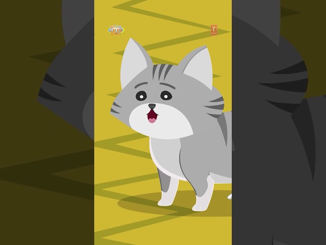 🐱 The Lost Kitten’s Happy Ending ❤️ | Bedtime Story #Shorts