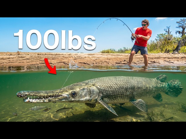 Every Fish I Catch Doubles in Size!