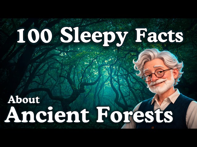 The Most Relaxing Facts About Ancient Forests to Fall Asleep To