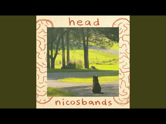 head
