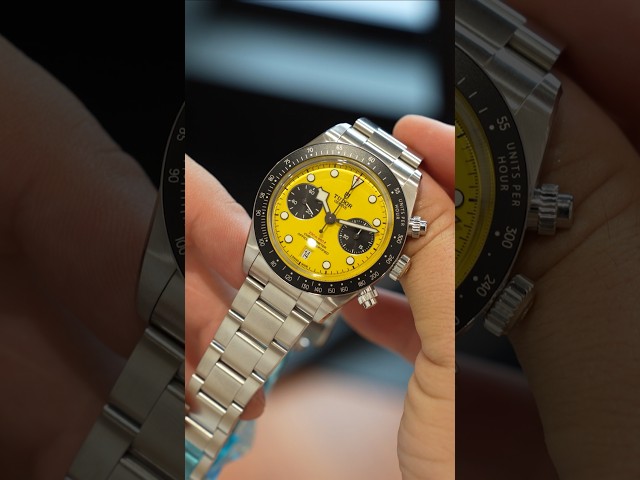 Tudor 'Bumblebee' Chrono 39