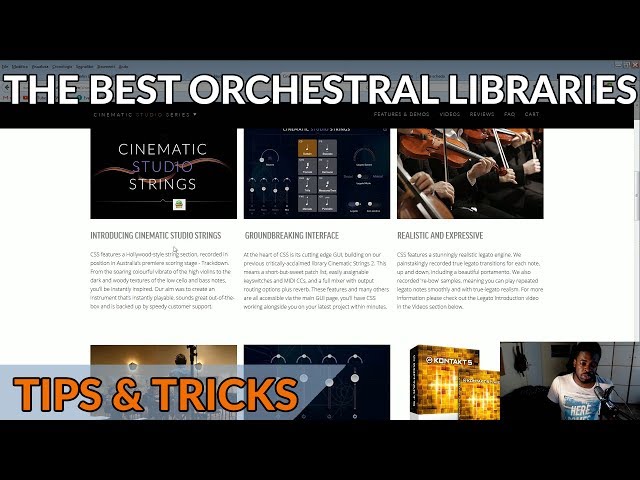 The Best Type of Orchestral Libraries to Get For Beginners