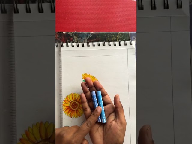 Beautiful sunflower drawing with Doms oil pastel and blurry background #artclass #drawing #shorts