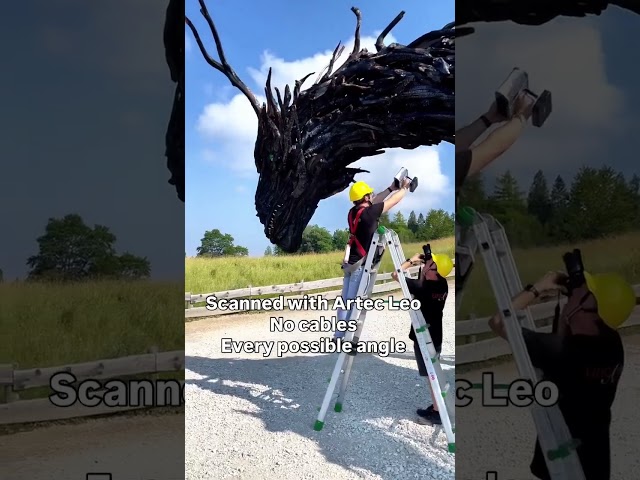 How Artec Leo Digitally Preserved the World's Largest Wooden Dragon