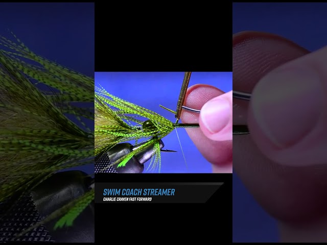 Fly Fisherman Fast-Forward: Tying the Swim Coach Streamer Fly