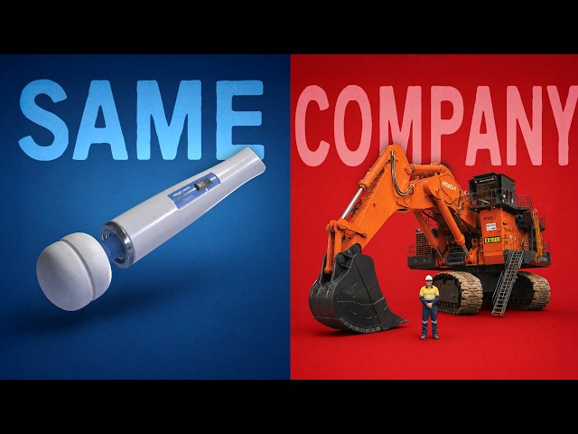 Why Do Asian Mega-Corporations Do... Everything?