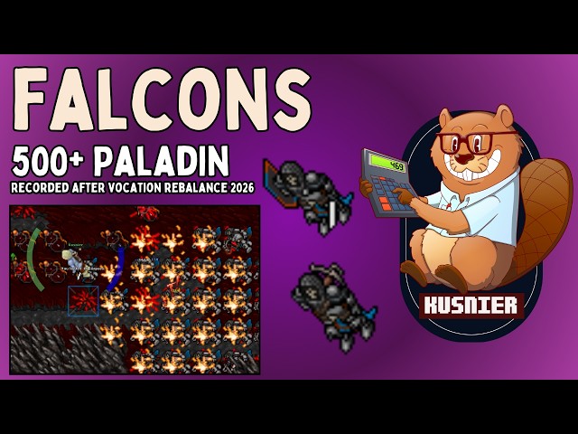 Falcons | 500+ Paladin | Tibia