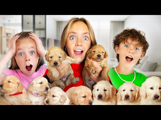 Our Dog Has Puppies! | Fun Squad