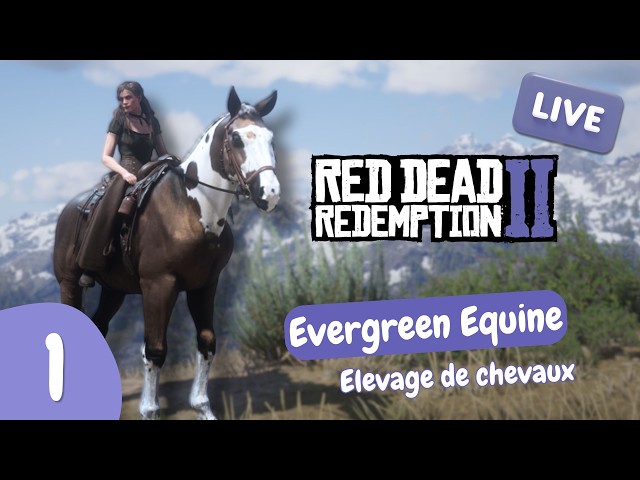 On cherche des chevaux sauvages + élevage 💜 RedM (Evergreen Equine) feat Loupa