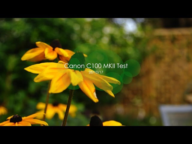 Canon C100 MKII Test - October 2017 - Garden