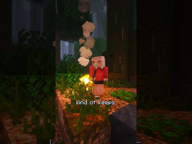 Mosquitos in Minecraft are brutal