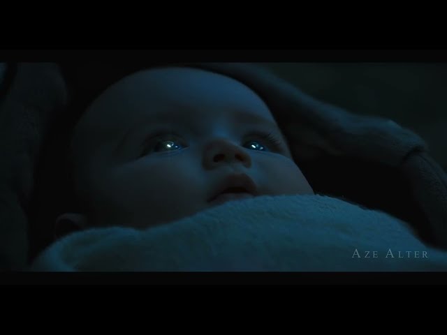 "This is the FUTURE WE SHALL BRING into being" - Elon Musk