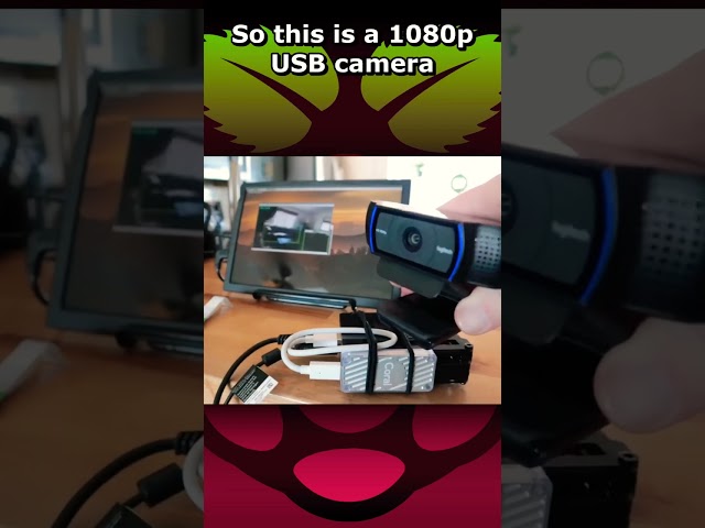 Raspberry Pi Object Detection Using TensorFlow Lite