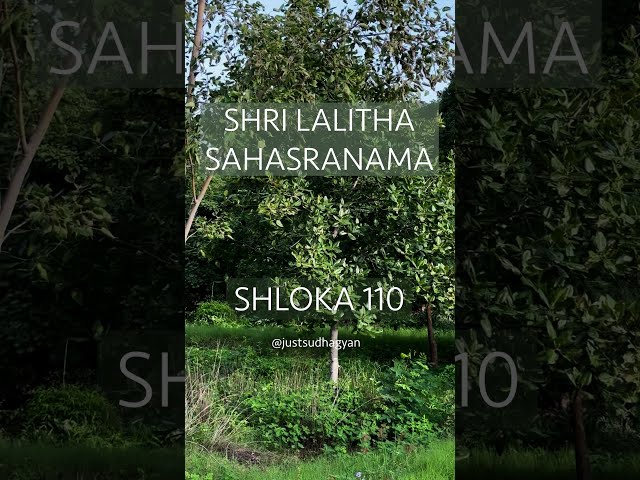 Shri Lalitha Sahasranamam Shloka 110 | Sarvaudana Pritachitta | Yakinymba Swaroopini|Just Sudha Gyan