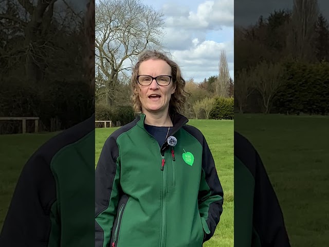Local Nature Recovery Strategy support  - Heart of England Forest