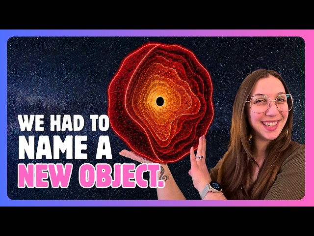 JWST Found Something New: Black Hole Stars