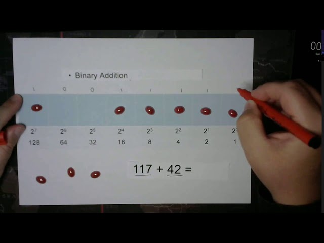 Data and their Representation (Practice): Key Skills in Binary and Hex