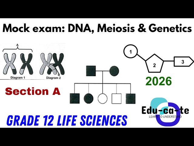 Mock Test 1: DNA,Meiosis & Genetics - SECTION A Grade 12 Life Sciences