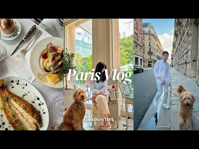 🇫🇷 Paris Vlog | Paris life with dog | Le Bristol + LouLou dining | Paris hidden gem | Paris spa