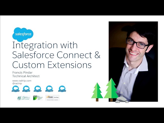 Integration With Salesforce Connect & Custom Extensions