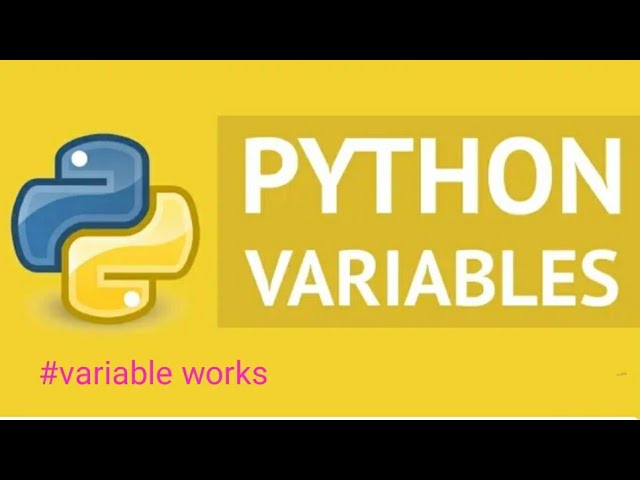 Variable Works in Python |