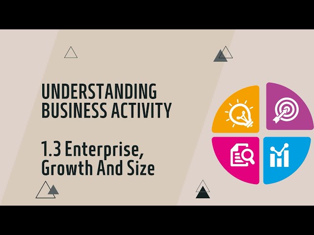 IGCSE Business: Chapter 1.3 Enterprise, Growth and Size