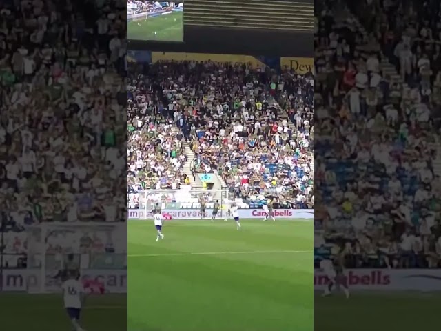 THE MOMENT PNE GO TOP OF THE LEAGUE! Liam Millar goal vs Plymouth | PNE 2-1 Plymouth #pnefc #pafc