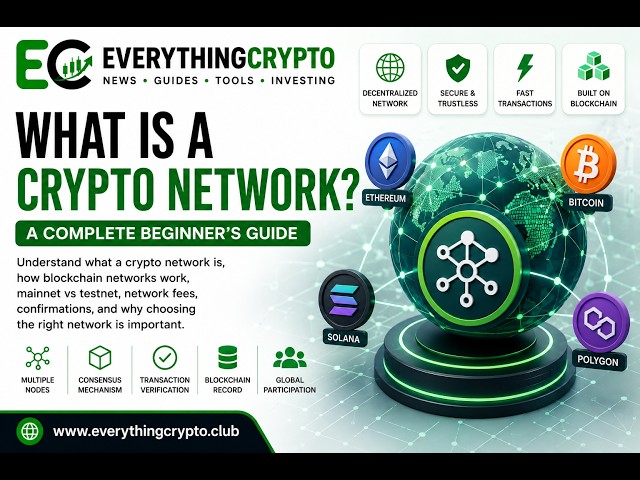 What Is a Crypto Network? Complete Beginner’s Guide to Blockchain Networks