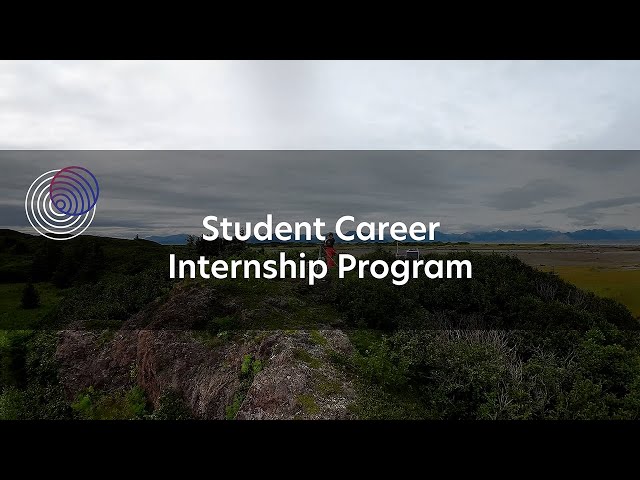 Student Career Internship Program