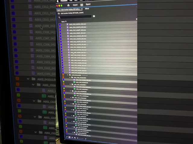 1 tip for organizing footage in your project bin. Adobe Premiere