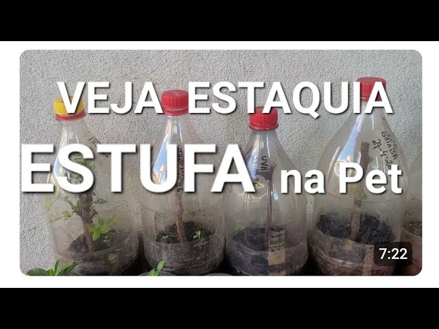 Estaquia nas pet em Paranaiguara Goiás 