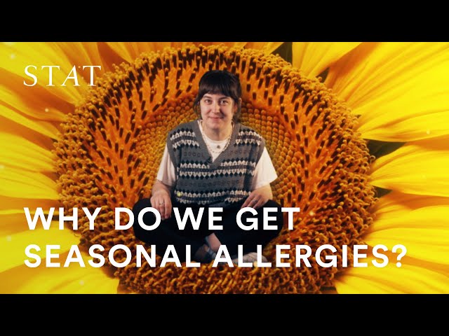 Boddities | Why do we get seasonal allergies?
