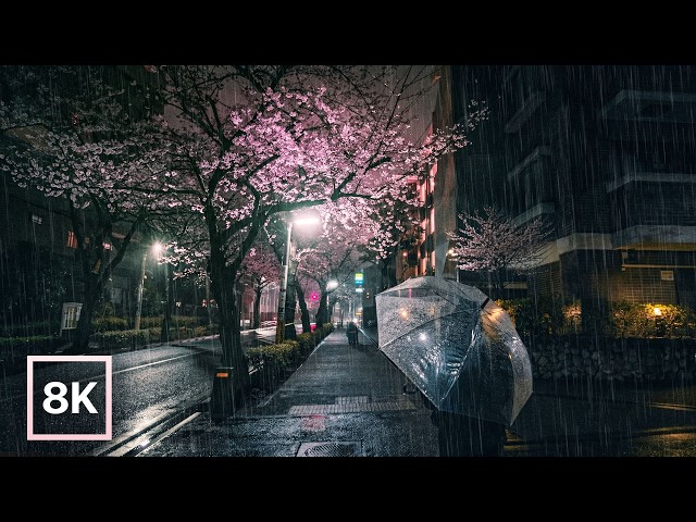 Tokyo Cherry Blossoms in the Rain 🌸 Night Walk / 8K 60fps HDR / Relaxing Piano & Rain Ambience