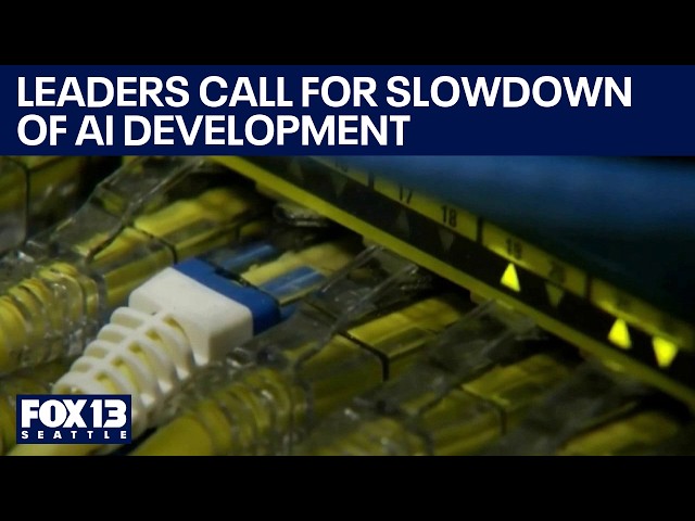 Leaders call for slowdown of AI development | FOX 13 Seattle