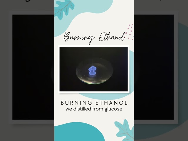Burning ethanol we distilled after fermenting glucose in year 12 chemistry #shorts
