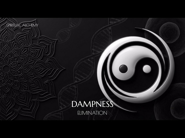 🌿 Qi Lymphatic Drainage | Dampness Clearing (Morphic Energy Programmed field)
