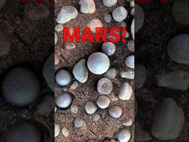 "Blueberries" On Mars' Surface!! #shorts #mars #spacescience