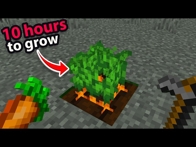 Can you Actually Beat China's Hardest Minecraft Mod?